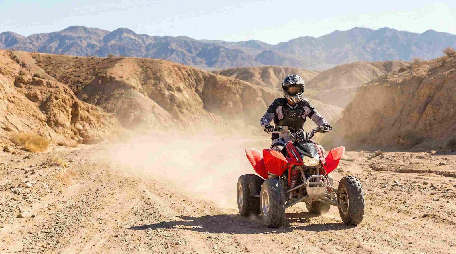 Quad Bike Buying Guide for Beginner and Pro Riders