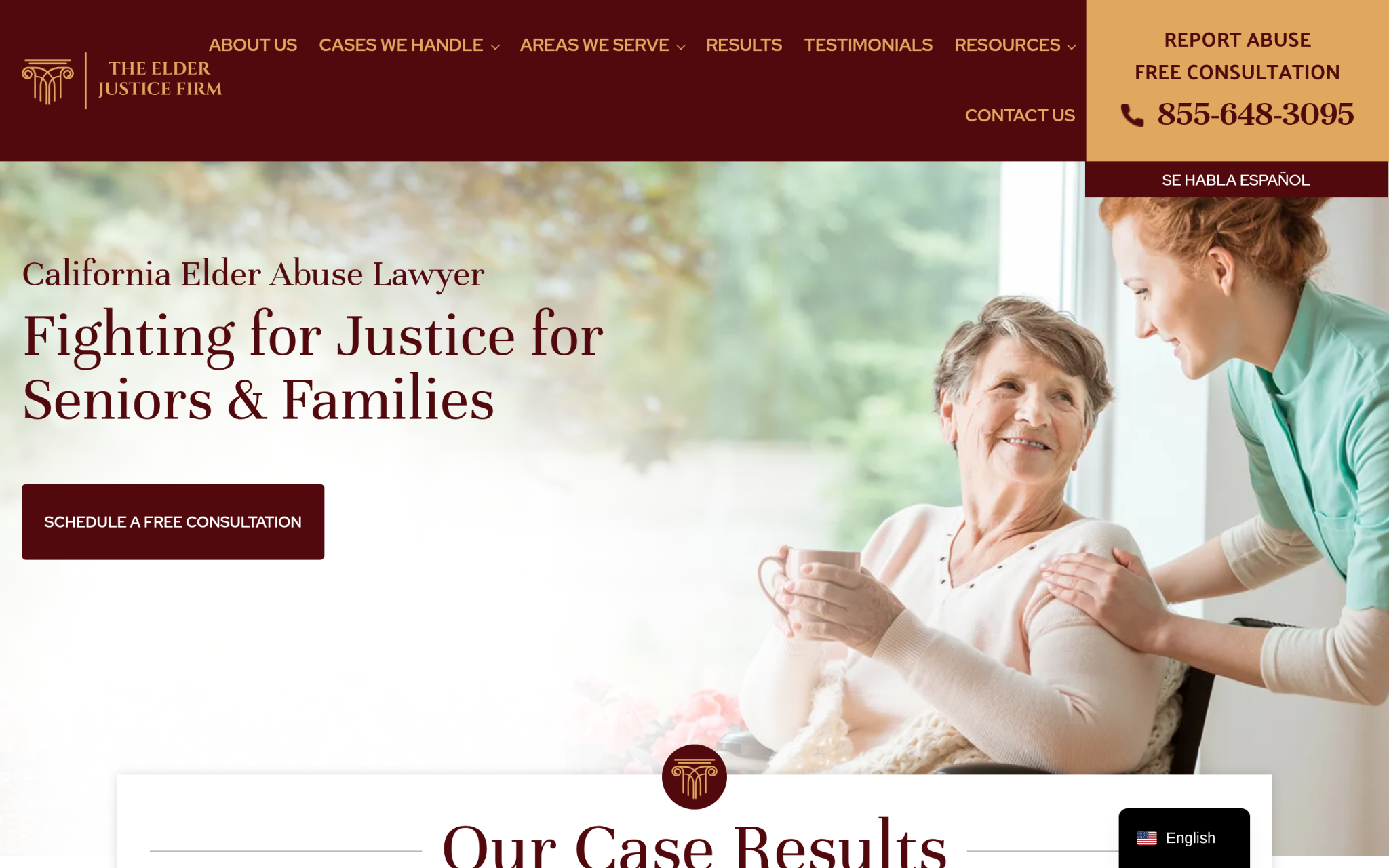 Elder Justice Firm website