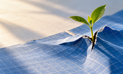 Seedling growing through blue graph paper, representing hiring confidence