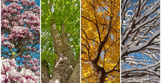 Seasonal roles may be harder to secure this year as holiday hiring gets off to sluggish start