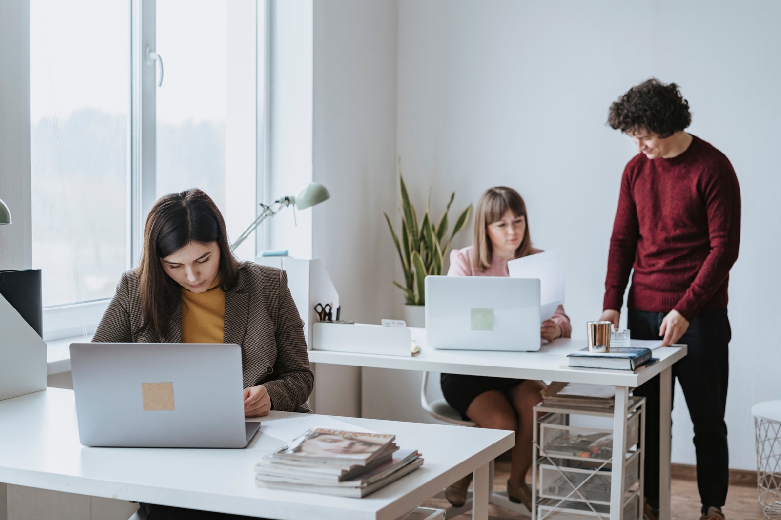 Colleagues collaborating around laptops in an office — photo by olia danilevich, Pexels
