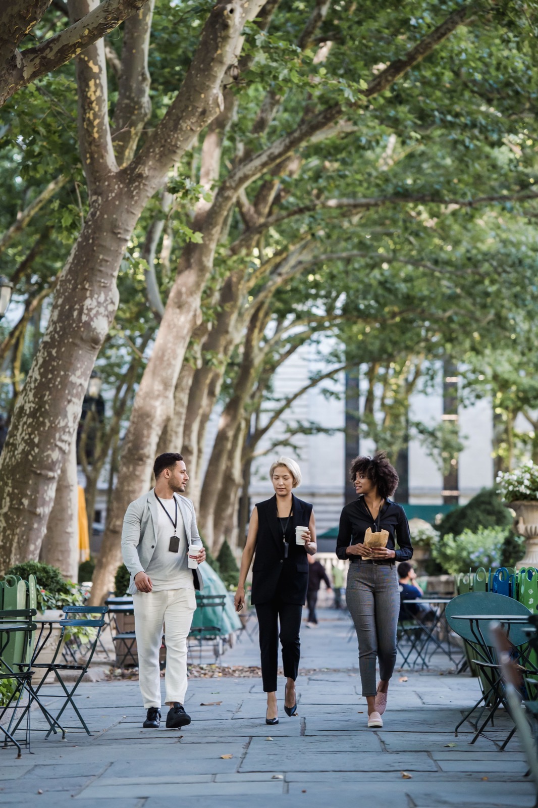 Three colleagues walking together with takeaway drinks in a tree-lined park